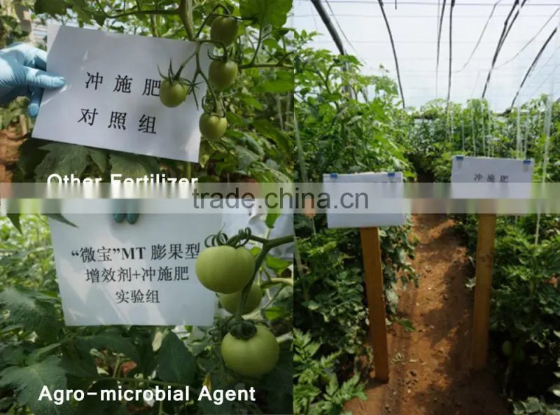Agro-microbial Agent