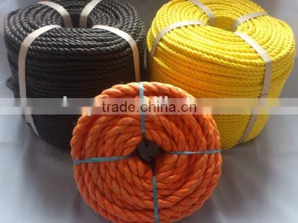 Twisted rope Type fishing rope PP danline rope