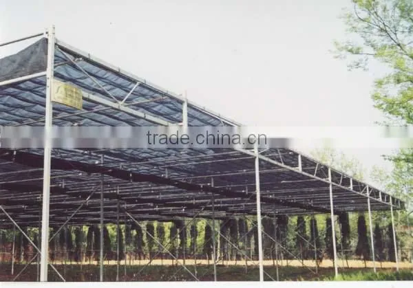 Insect Net Covered Shade House