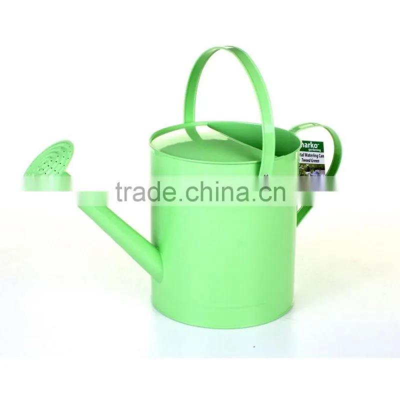 Metal Galvanised Steel Watering Can 9 Litre Garden Water Plants Green Cream Galvinised (Silver)