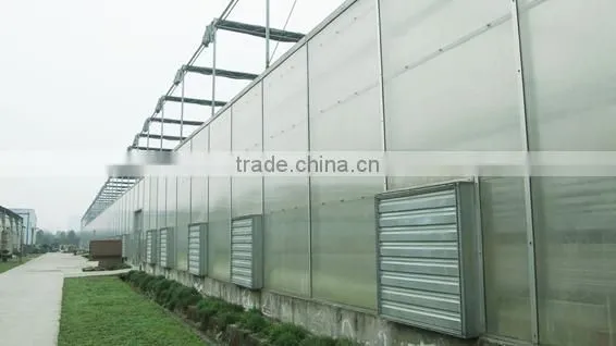 Greenhouse Ventilation Exhaust Cooling Fan