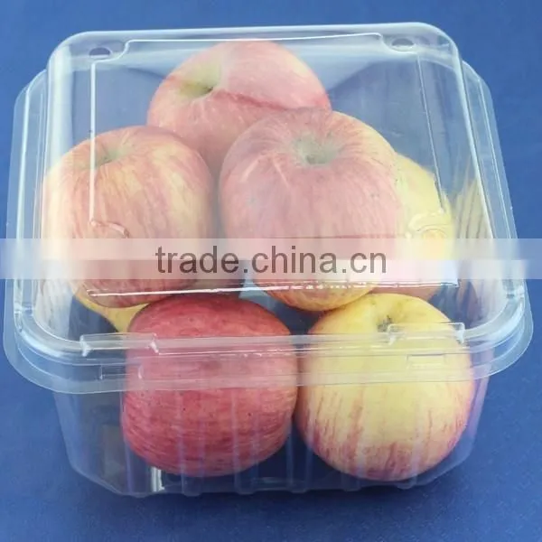 wholesale plastic apple fruit packaging box manufacturer