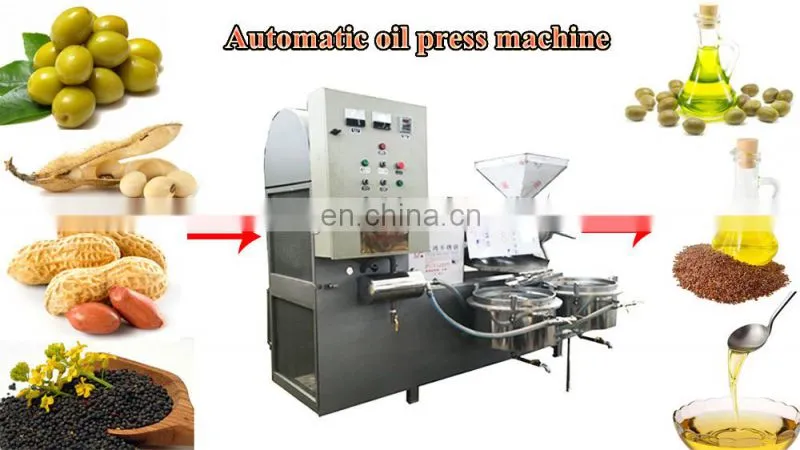 Chestnut cashew nut high efficient continuous roasting machine roaster baking machinery