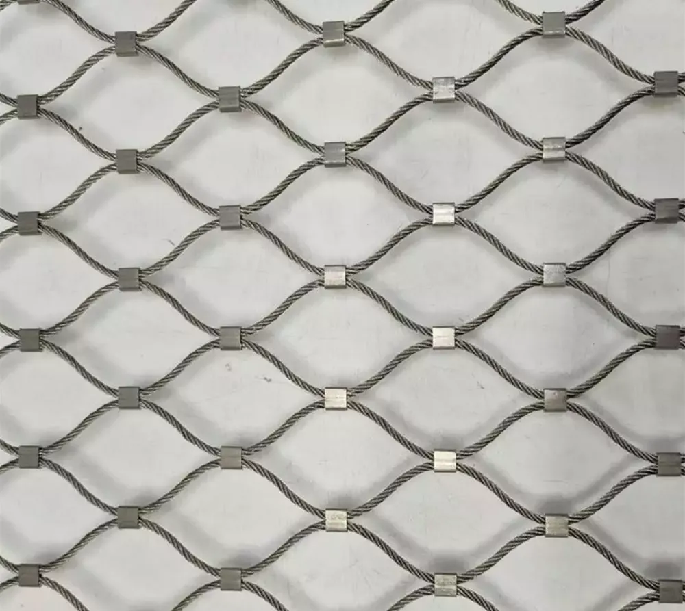 5_264_2042358_1000_1000