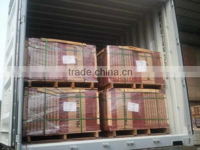 foshan hot design ceramic tile,border tile,washroom tile