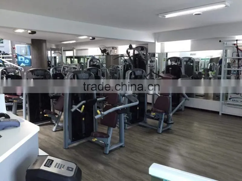 Luxury Fitness Equipment /arm exercise machine / TZ-6013 Biceps Machine