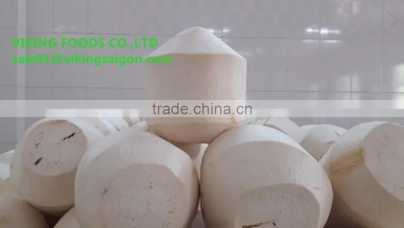 NATA DE COCO IN SYRUP _ GOOD QUALITY _ COMPETITIVE PRICE