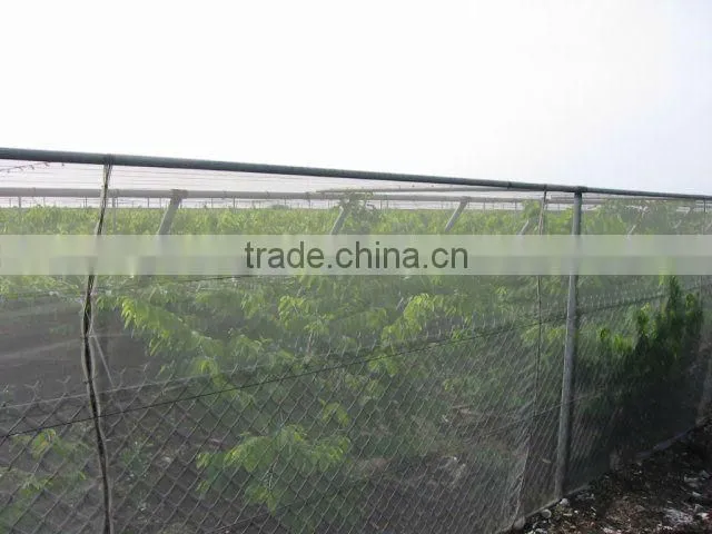 HDPE hot sell anti insect net
