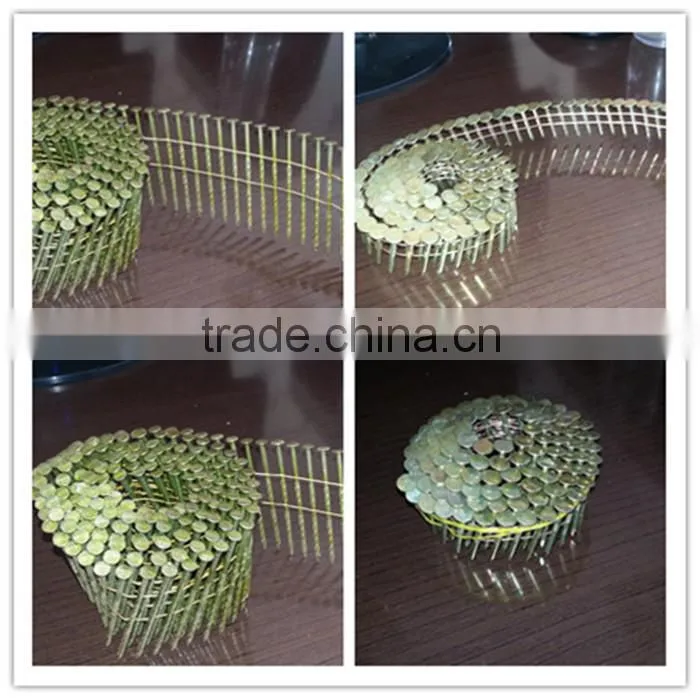 China coil nail product for wooden pallet