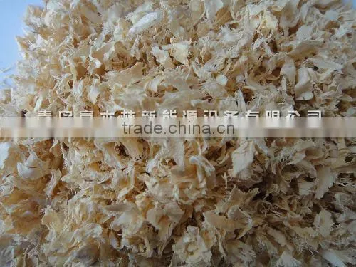 Wood Shavings