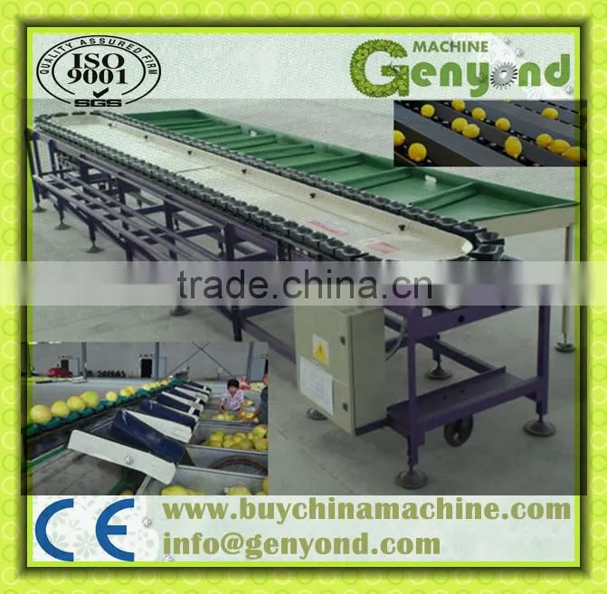 vertical fruit grading machine