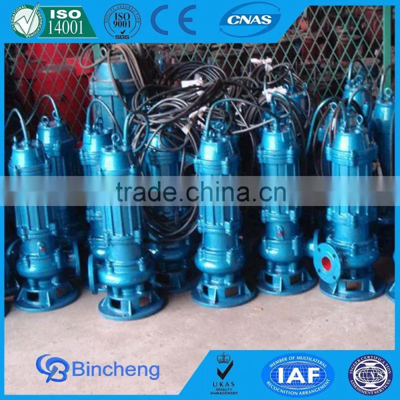 Submersible sewage pump for pool trash pump