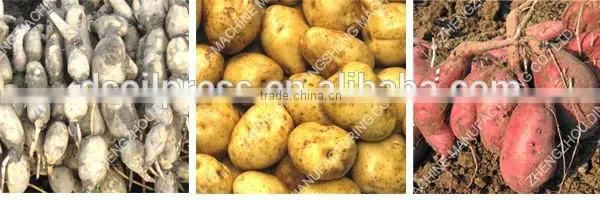 cassava starch/gari processing machine / cassava flour extraction machine /production line