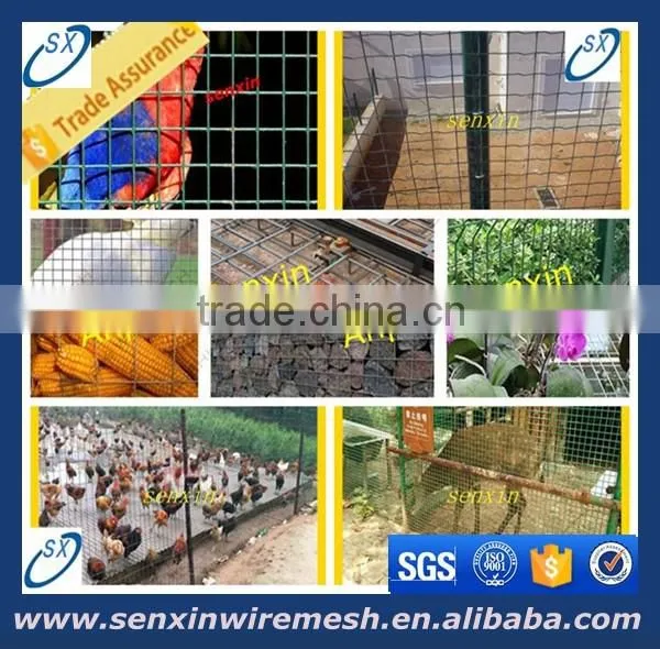 china anping factory india market popular 12.7mmX12.7mmX3FTX10M 6kg/8kg pvc coated welded wire