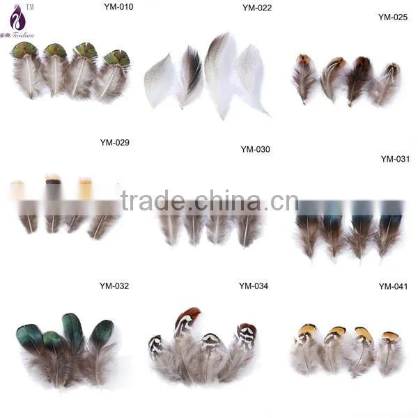 Natural color pheasant chicken feather for hat and party decoration,cheap feathers