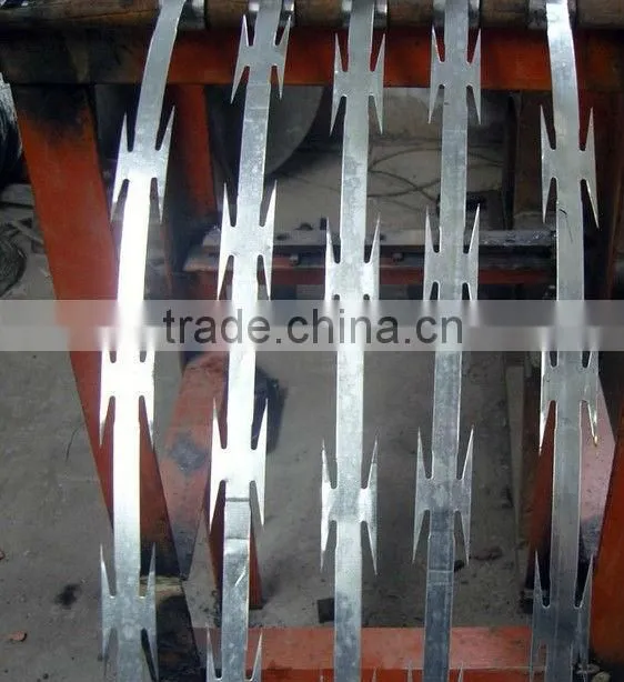 electro galvanized barbed wire