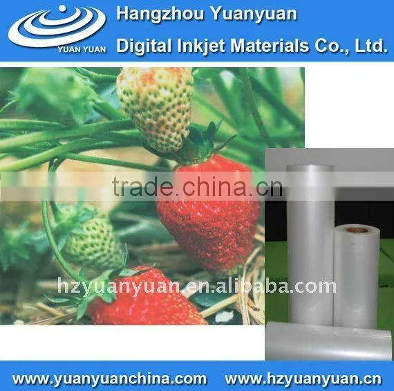 waterproof front printing backlit film , backlit pet film for light box