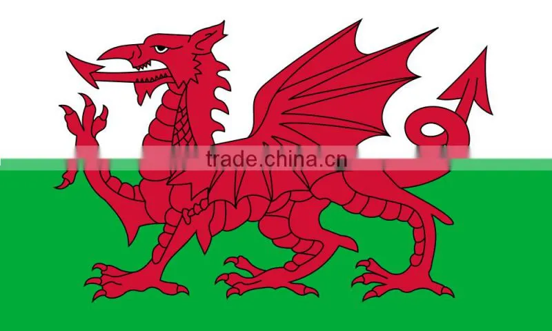 Customized Sports Flags/ Design your Promotional Flags/ High Quality National Flags/ Embroidered/ Sublimated/ Screen Print Logos