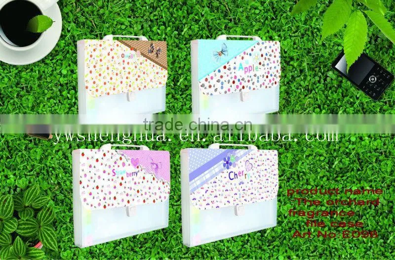 2015 new design pp Document bag/pp file case