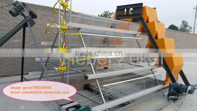 galvanized steel for chicken cages