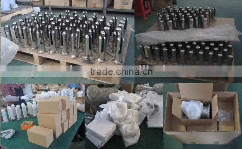 glass pool fence spigot/glass pool fence spigots/ SS glass pool fence spigot