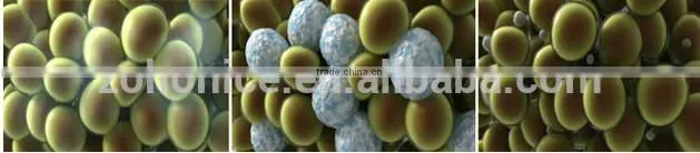BD06C super RF vacuum with cryo Fat freezing sliming machine