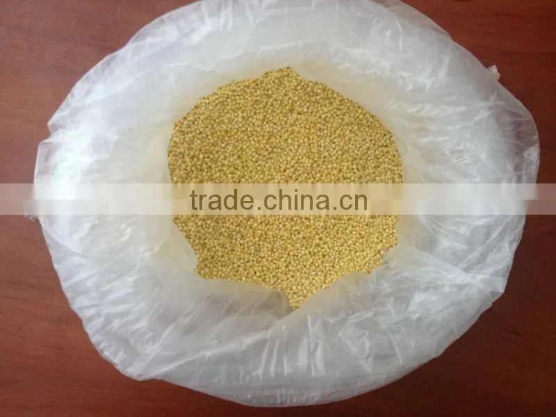 UKRAINIAN HULLED MILLET