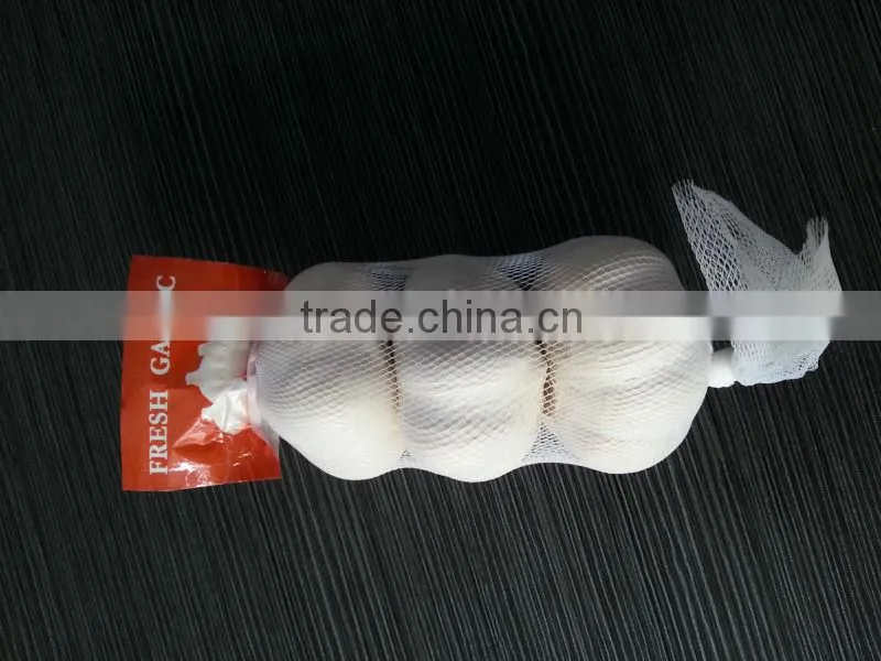 Fresh Garlic 2013