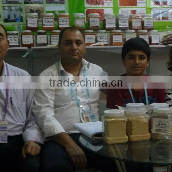 expoer 2013 new crop dried hot yellow approved good flavor of qualitied chinese Sanying pepper powder C spice