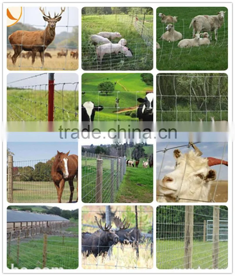 Anping Deming produce crosslock knot Field fence