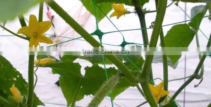 PEA AND BEAN NETTING