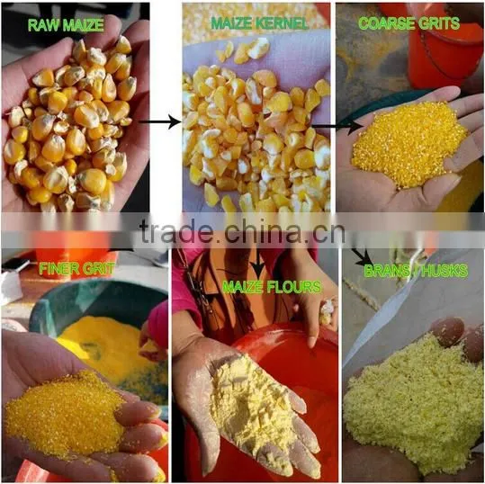China best sales full Automatic 20t/d corn grinding machine for sale