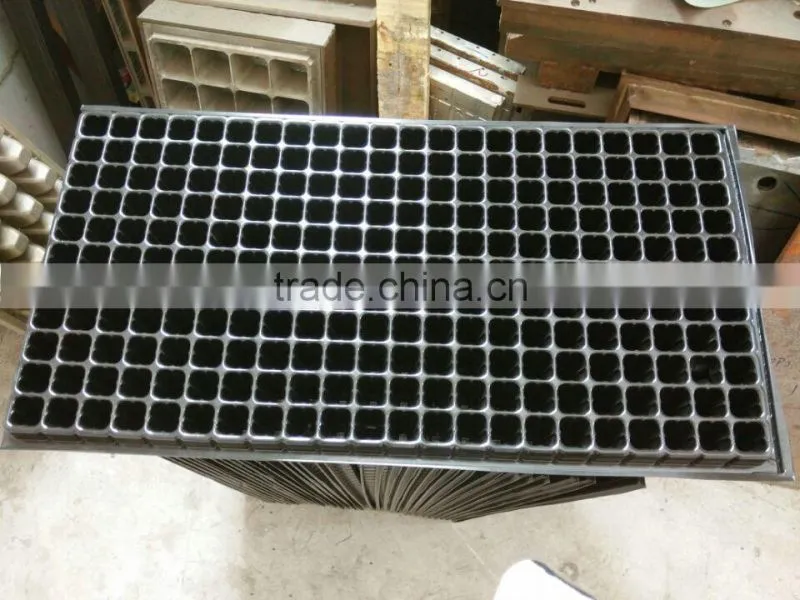 50 cell, 242 cell seedlings trays wholesale