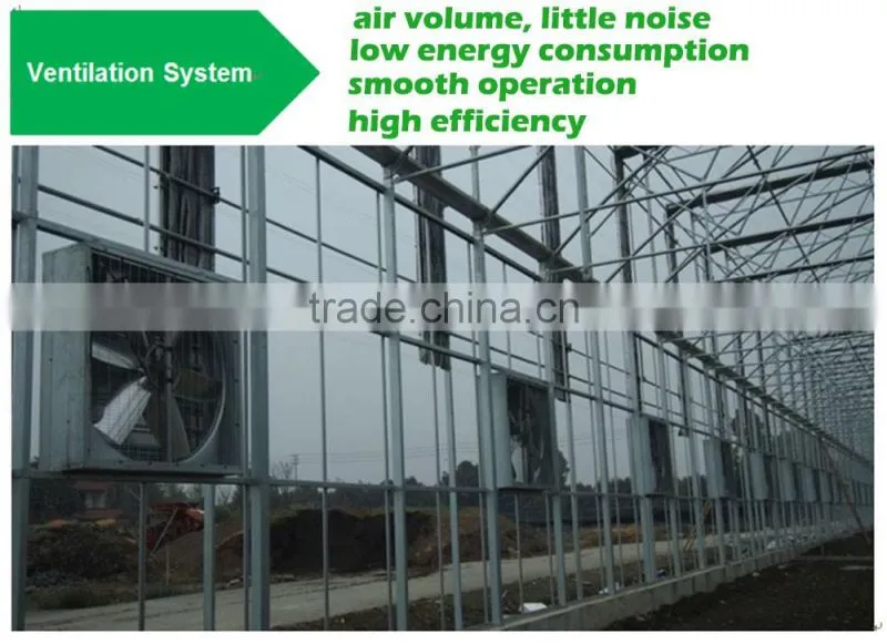 PC Sheet Cover Material and Large Size Tunnel Commercial Greenhouse