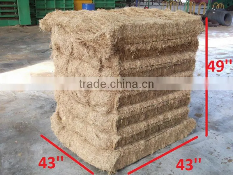 Oil Palm Fibre