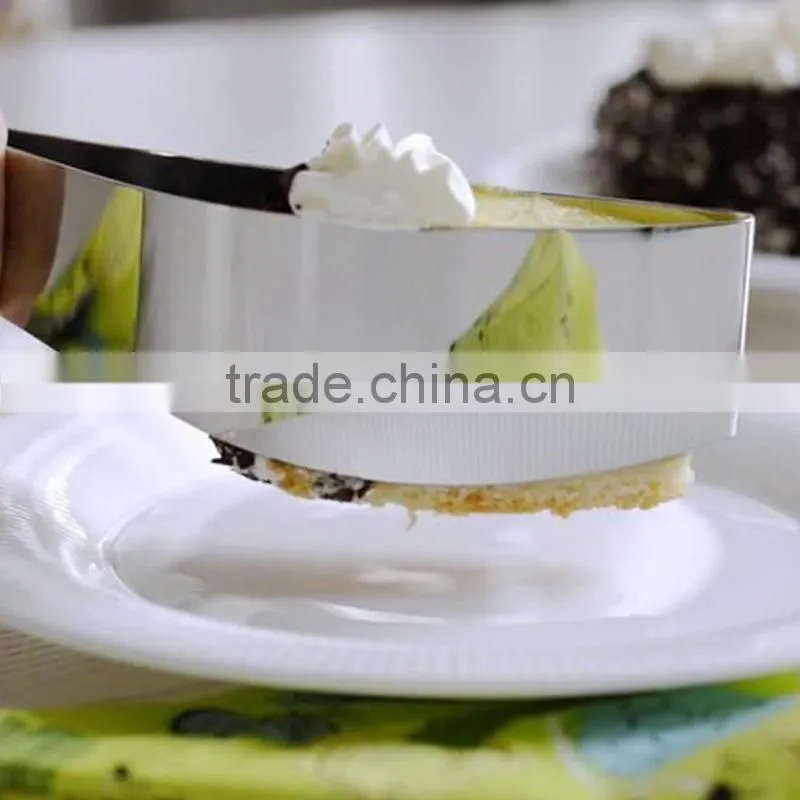 Amazon Hotting Food Grade Stainless Steel Cake Cutter,Cake Server Knife