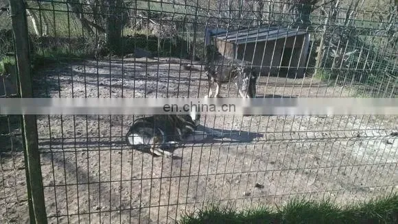 Large Pet Enclosure Dog Kennel Run Animal Cage Chain Link and Welded Type