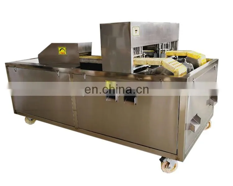 Automatic fruit stone extractor apricot and apple core removal machine.