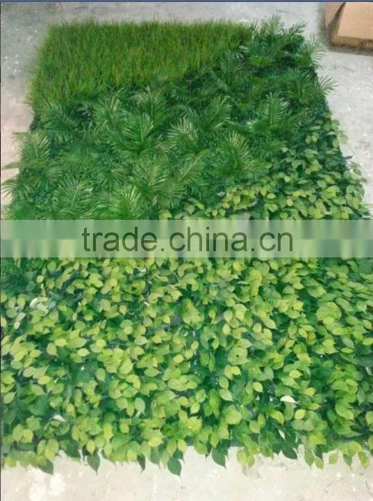 Garden green wall