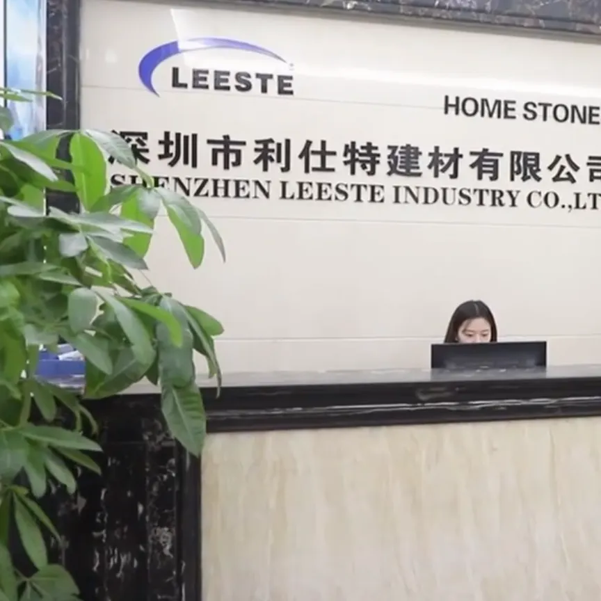 Shenzhen Leeste Building Materials Co., Ltd. company overview - view 1