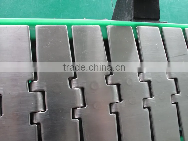Multifunctional stainless steel chains conveyor