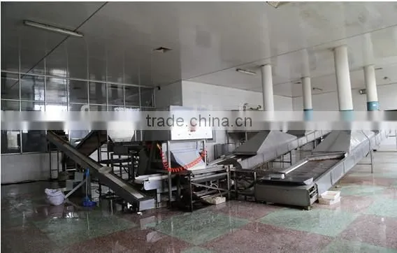 chinese best selling products new wholesale peanuts in shell