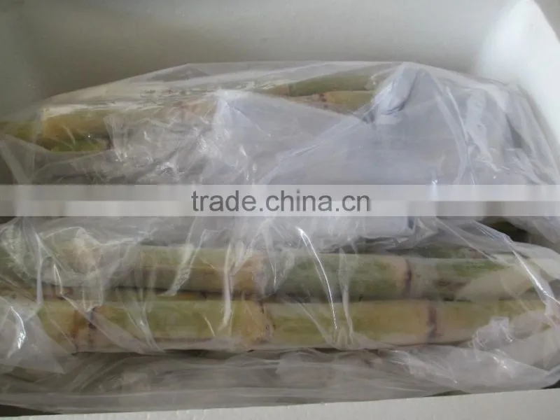 FROZEN SUGAR CANE - GOOD QUALITY