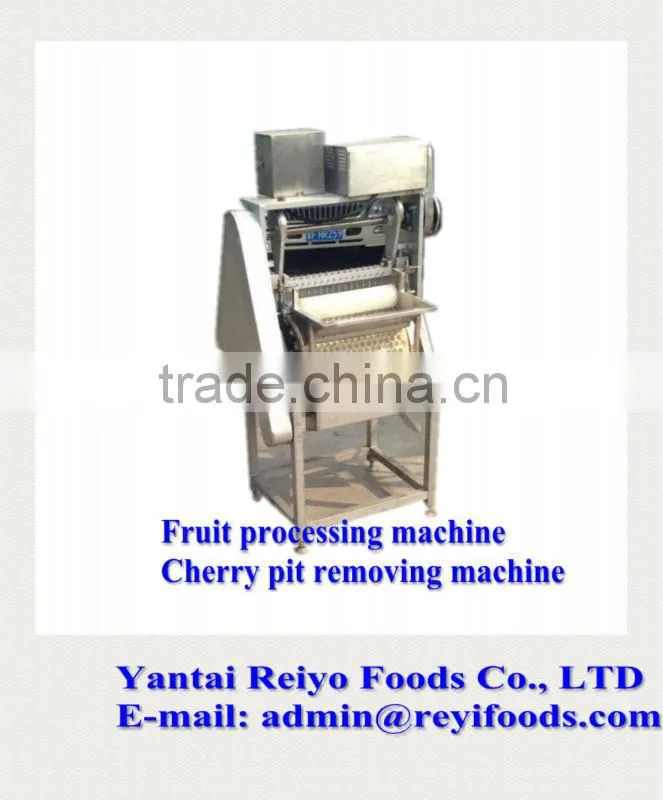 cherry seed removing machine / cherry pitting machine