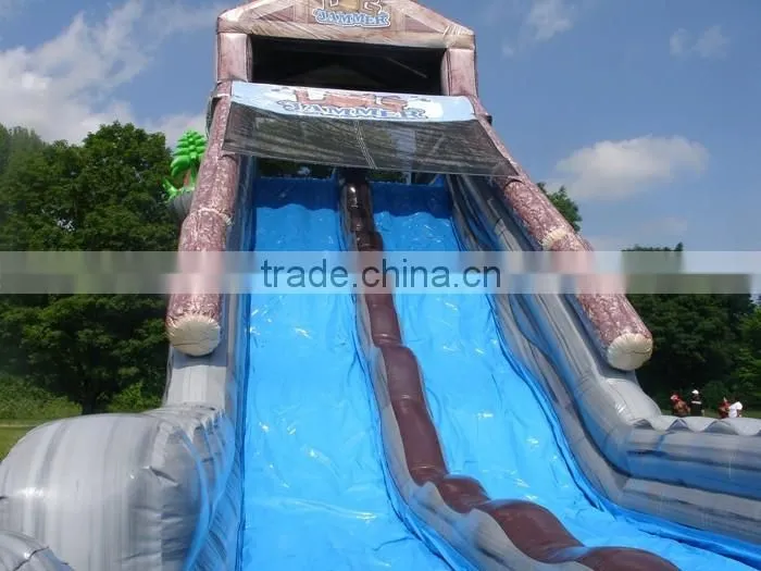 Giant inflatable double lane slide for adult