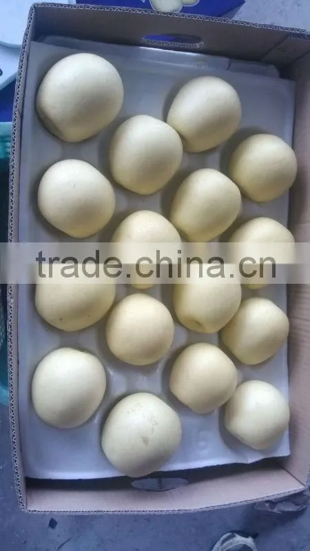 New crop fresh golden pear sweet crisp pear shandong pear