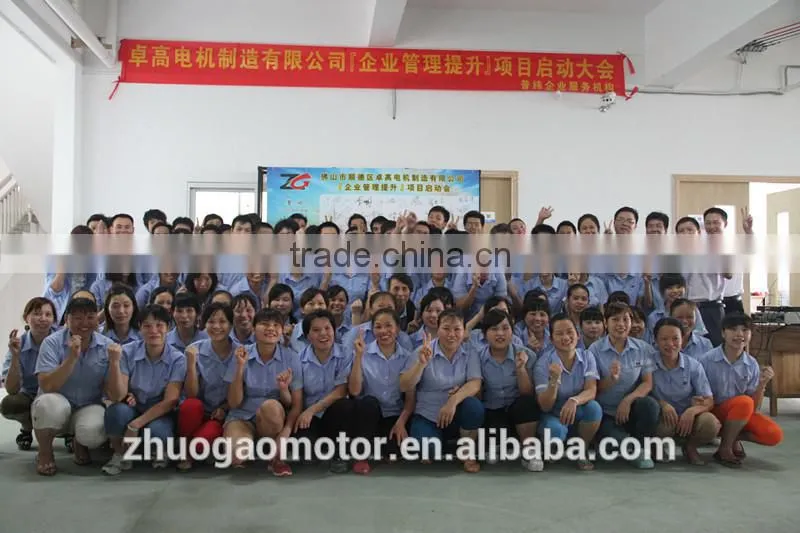 High quality oven motor/oven fan motor/AC oven motor