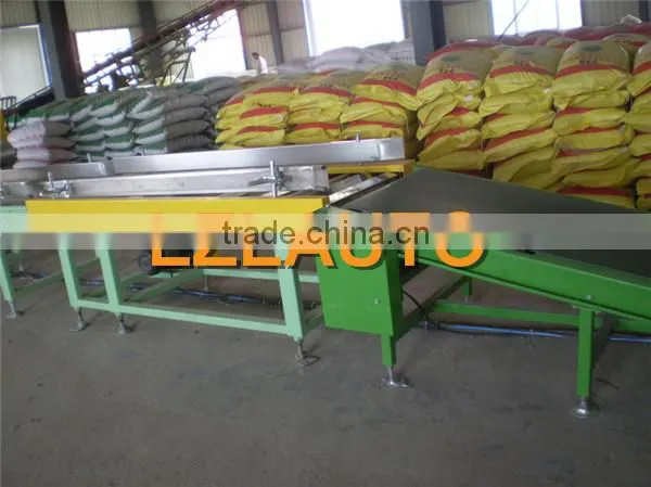 robot palletizer