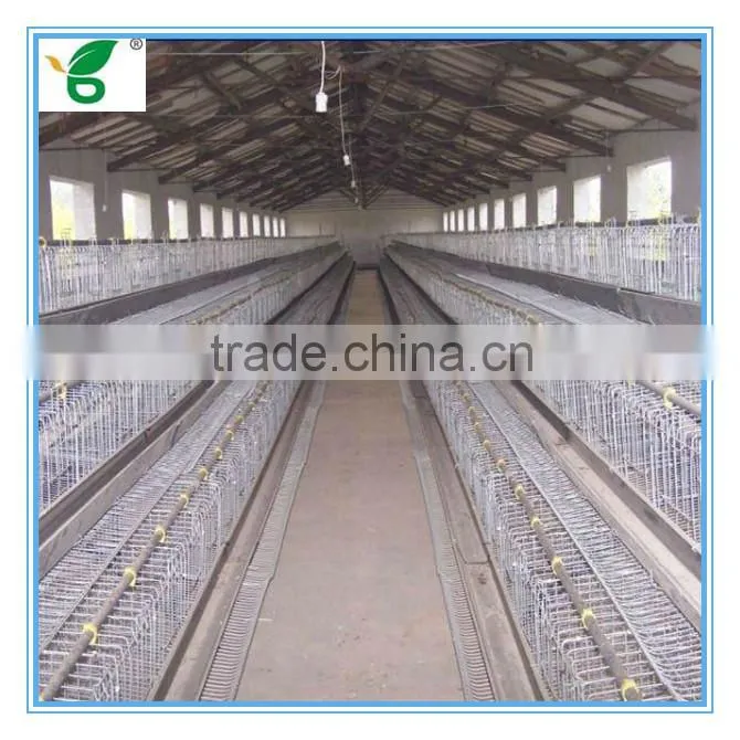 galvanized a type battery chicken hen coops for sale