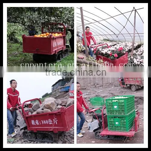 China Popular Low Fuel Consumption Mini Crawler Dumper